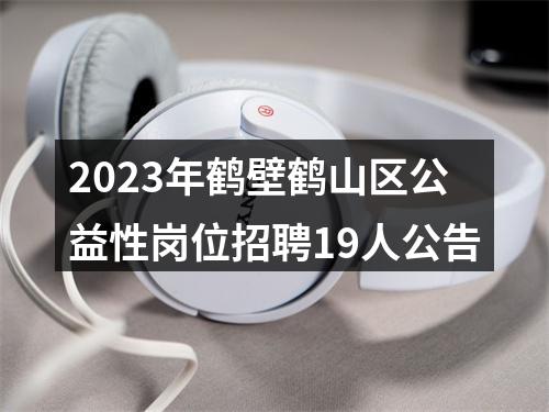 2023年鹤壁鹤山区公益性岗位招聘19人公告 图片