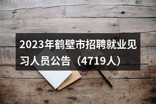 2023年鹤壁市招聘就业见习人员公告（4719人） 图片