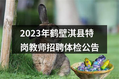 2023年鹤壁淇县特岗教师招聘体检公告 图片