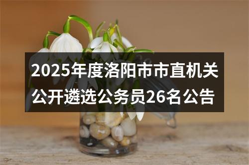 2025年度洛阳市市直机关公开遴选公务员26名公告 图片