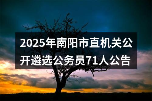 2025年南阳市直机关公开遴选公务员71人公告 图片