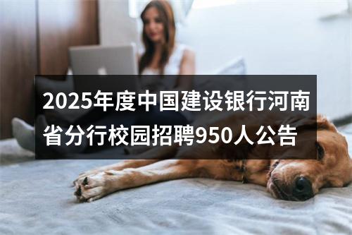 2025年度中国建设银行河南省分行校园招聘950人公告 图片