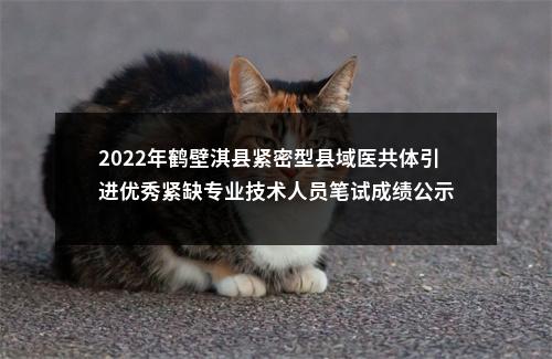 2022年鹤壁淇县紧密型县域医共体引进优秀紧缺专业技术人员笔试成绩公示 图片