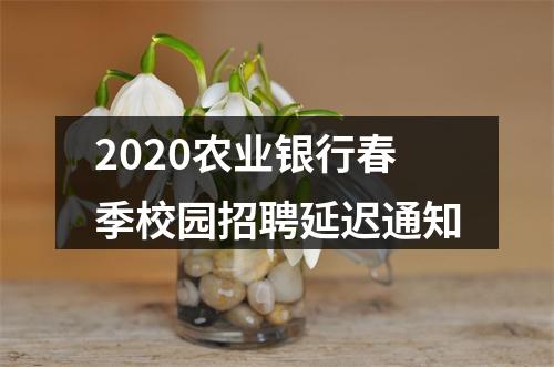 2020农业银行春季校园招聘延迟通知 图片