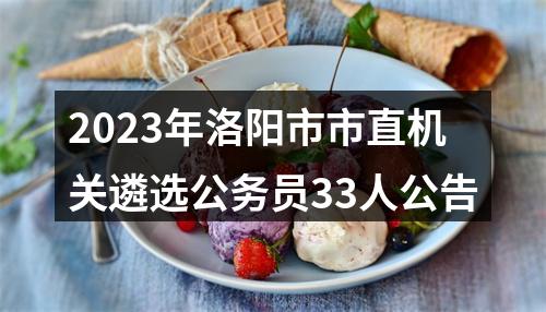2023年洛阳市市直机关遴选公务员33人公告 图片