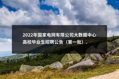2022年国家电网有限公司大数据中心高校毕业生招聘公告（第一批）. 图片