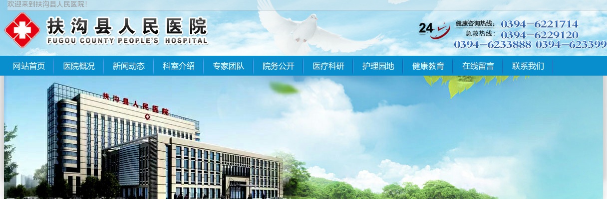 2025河南周口扶沟县人民医院招聘专业技术人员9人实施方案 图片